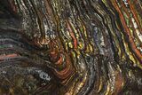 Polished Tiger Iron Stromatolite - ( Billion Years) #95911-1